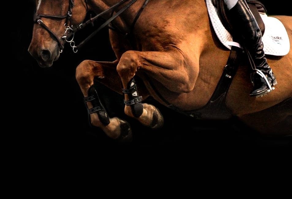 Horse Jumping